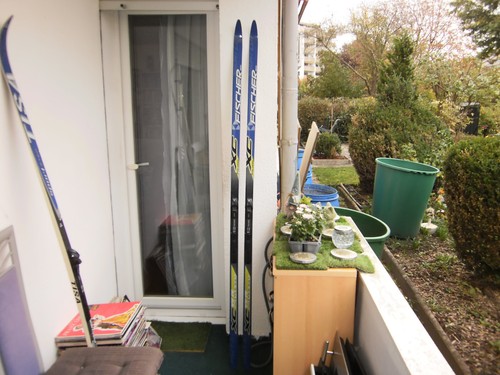 Langlaufski fischer royal - xc,